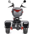 Электроскутер White Siberia Trike Mini 1500W (черный)